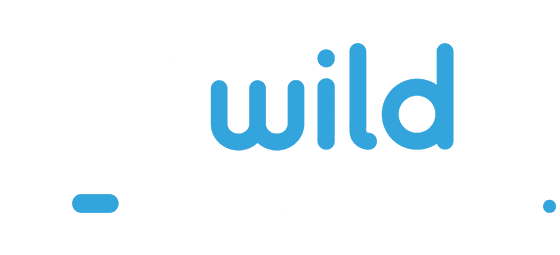 WildTornado logo